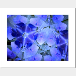 Kaleidoscope Royal Ocean Blue Flower Posters and Art